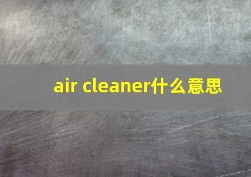 air cleaner什么意思